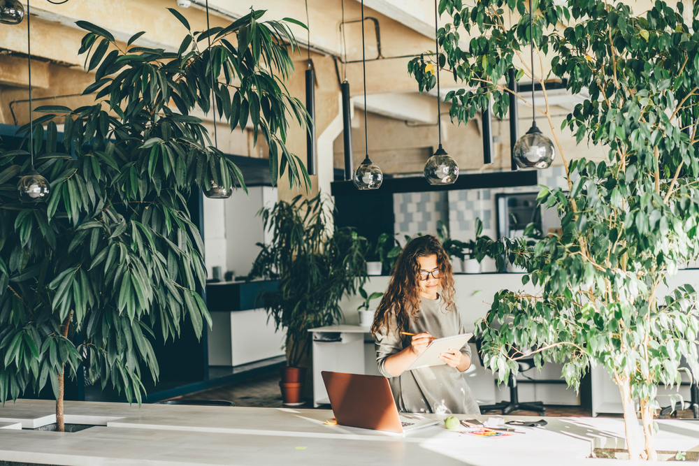 Picture of How to Tackle Climate Change from your Office - Impact